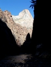 Hiking in Zions