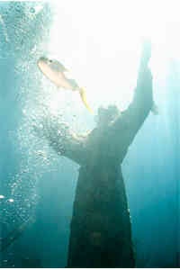 Christ of the Deep