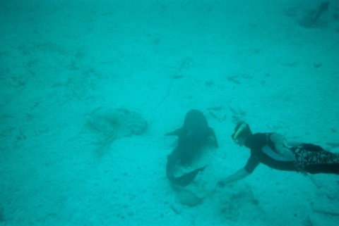 Staniel Cay, Exuma, Bahamas