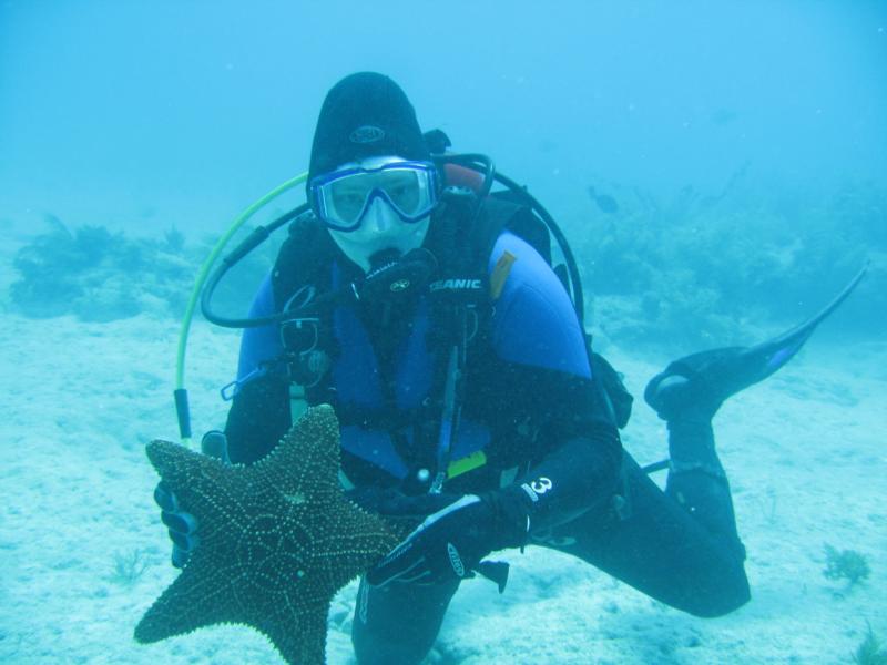 Starfish on Pleasure Reef - Key Largo
