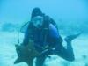 Starfish on Pleasure Reef - Key Largo - DiverDanita