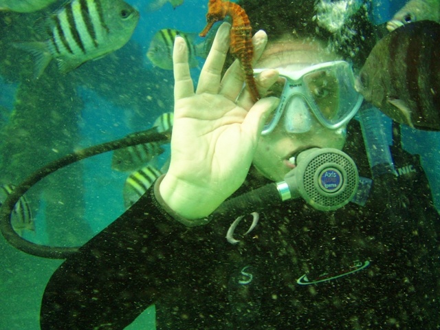 Shore diving, Crashboat beach, Aguadilla, Puerto Rico