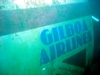 Plane at Gilboa
