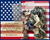 God Bless our Troops!