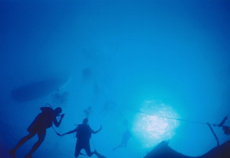 105ft from my lens to the bottom of the boat.  Really good vis!  Bahamas