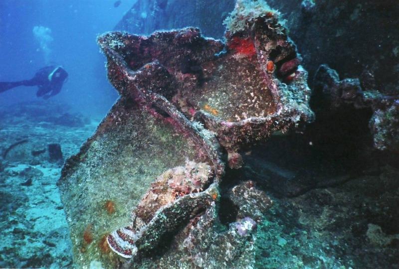 Scorpion Fish-St Maarten 7-2008