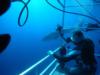 The deep cage. Great White - Oct 2009