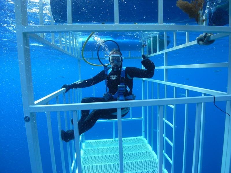 Me in the surface cage Great White - Oct 2009