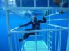 Me in the surface cage Great White - Oct 2009