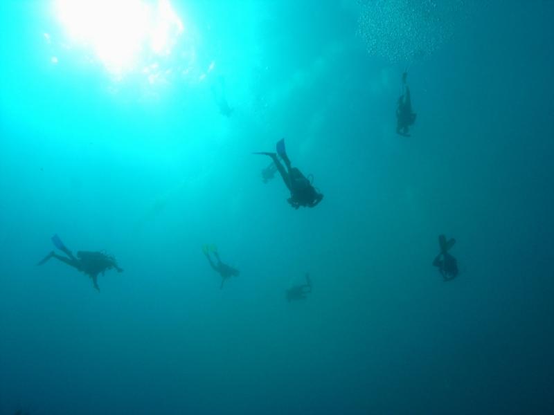 Decending into The Blue Hole, Belize