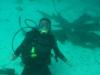 Me with the nurse sharks, Belize Dec 2009