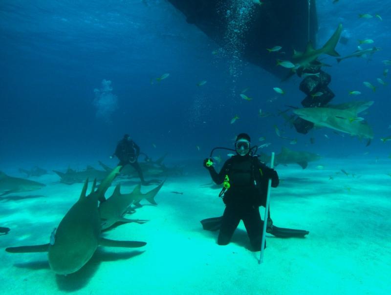 You’ll never see a happier diver than me right here!  Tiger Beach Bahamas.  Feb 2010