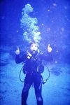 Sharks above me!!!