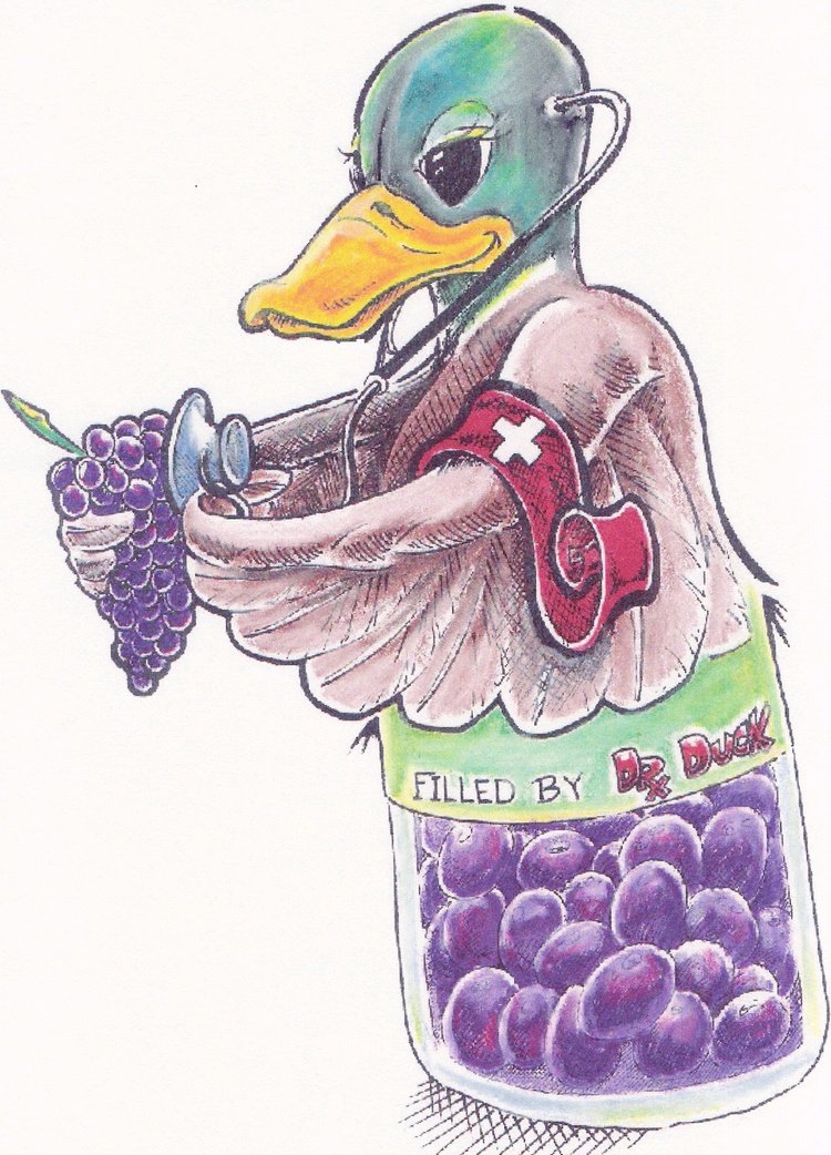 Dr Duck