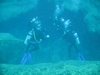 more random divers at vortex spring fl