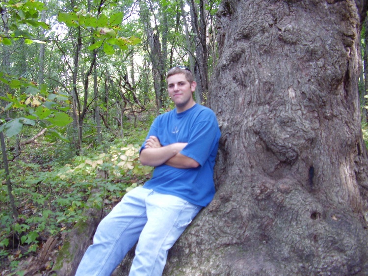Odd Tree