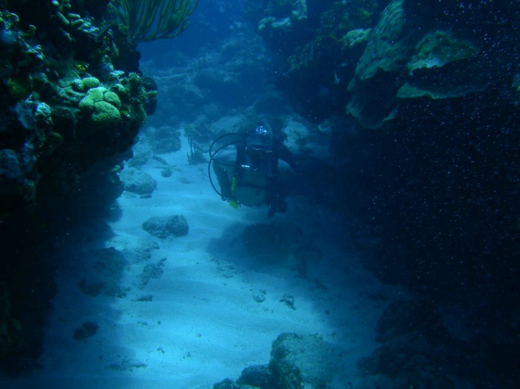 Diving St Thomas