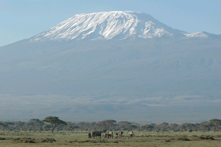 Kilimanjaro