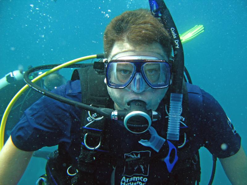 bvi 2007