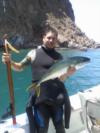 Catalina Yellowtail