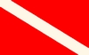 Diver Down