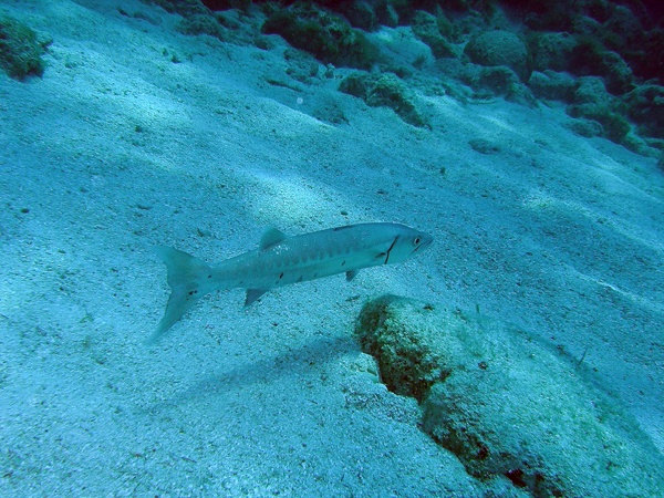 key largo