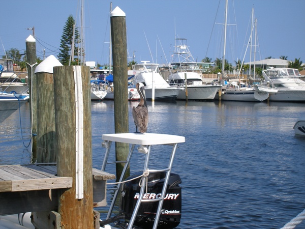 key largo