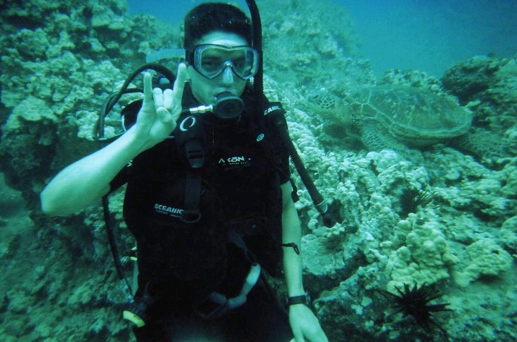 Turtle Town in Maui (Hook `em Horns!)