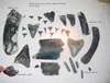 Shark teeth Fossils