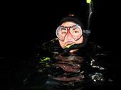 Redondo Night Dive