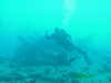 Diving The Mahi Wreck, Oahu, Hawaii