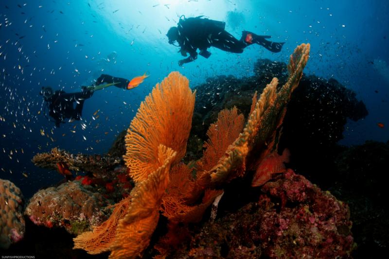 Me In The Similian Islands, Thailand