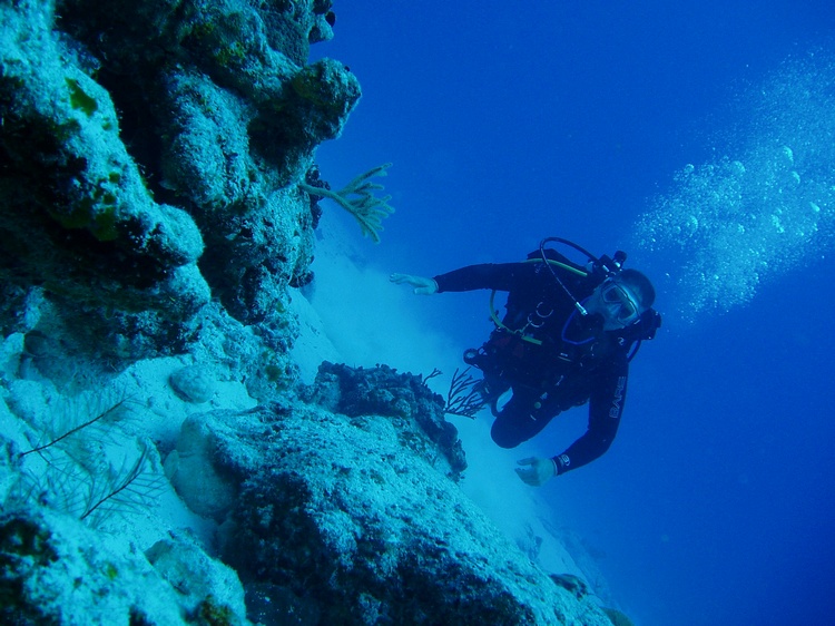 Drift Diving In Cozumel