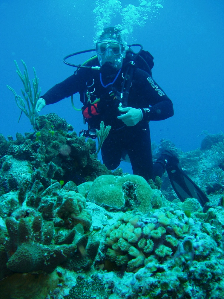 Drift Diving In Cozumel