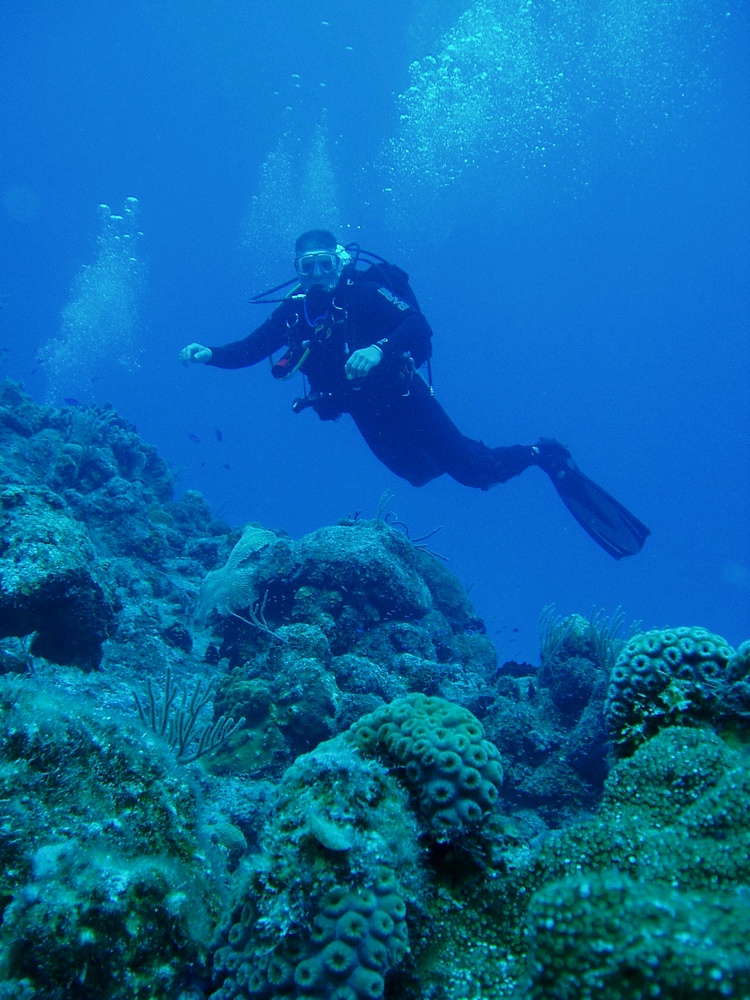 Drift Diving In Cozumel