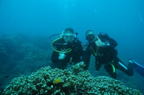 Dive The Great Barrier Reef