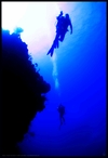 "The Abyss"  Feb 2008, Grand Turk