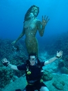 Happy Lee at Sunset House in Grand Cayman. This is a good story....