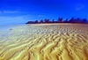 Big Wood Island, a deserted Island off of Andros, Bahamas