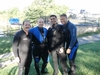 My Dive Buddies and I At Dutch Springs, PA