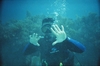 Diving in Key Largo