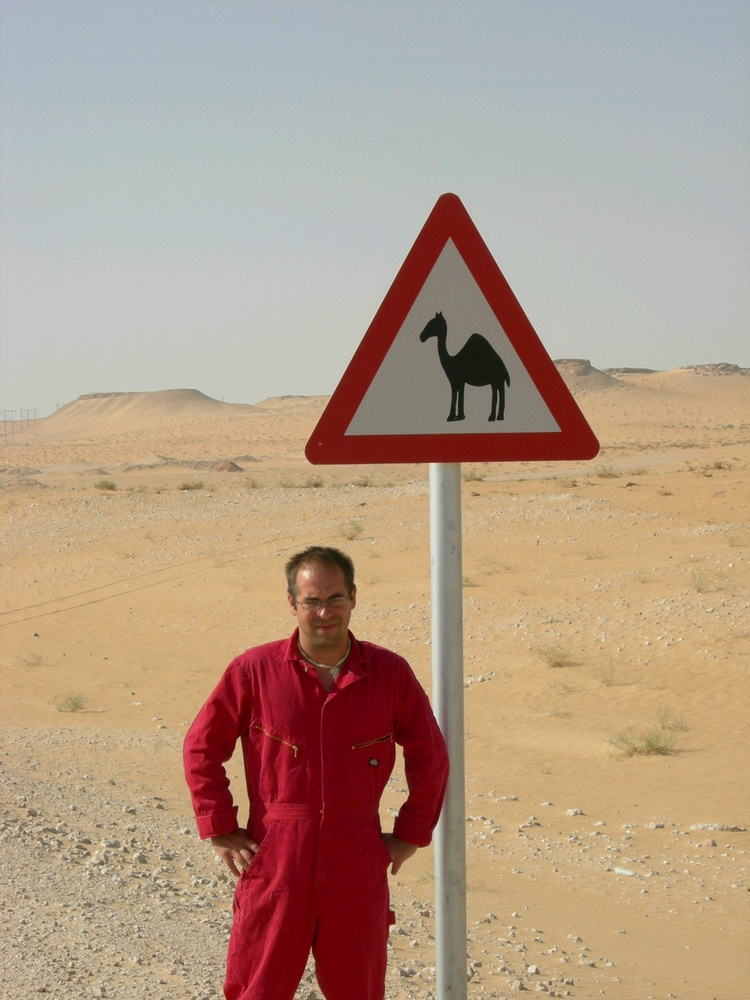 waiting for camels