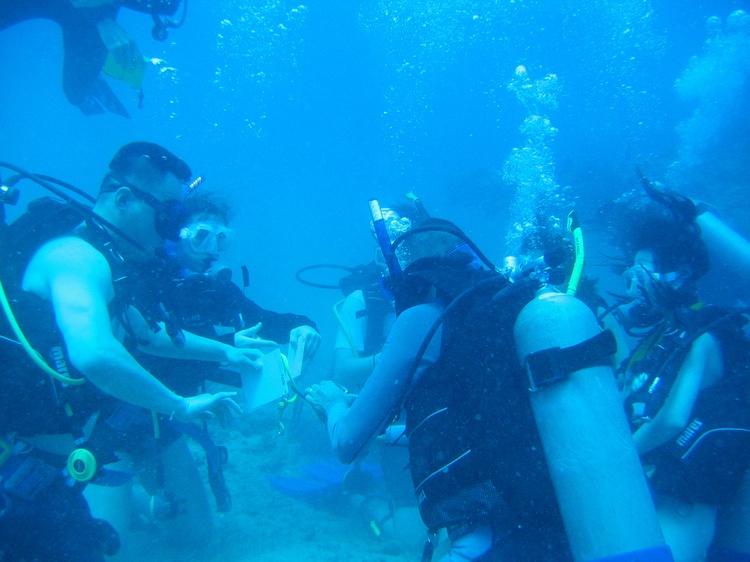 BVI 2007
