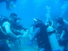 BVI 2007