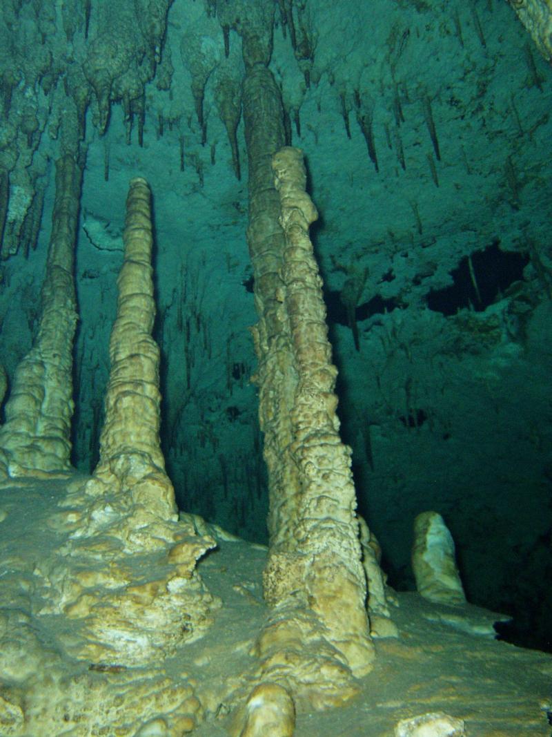 Cenote diving !!!