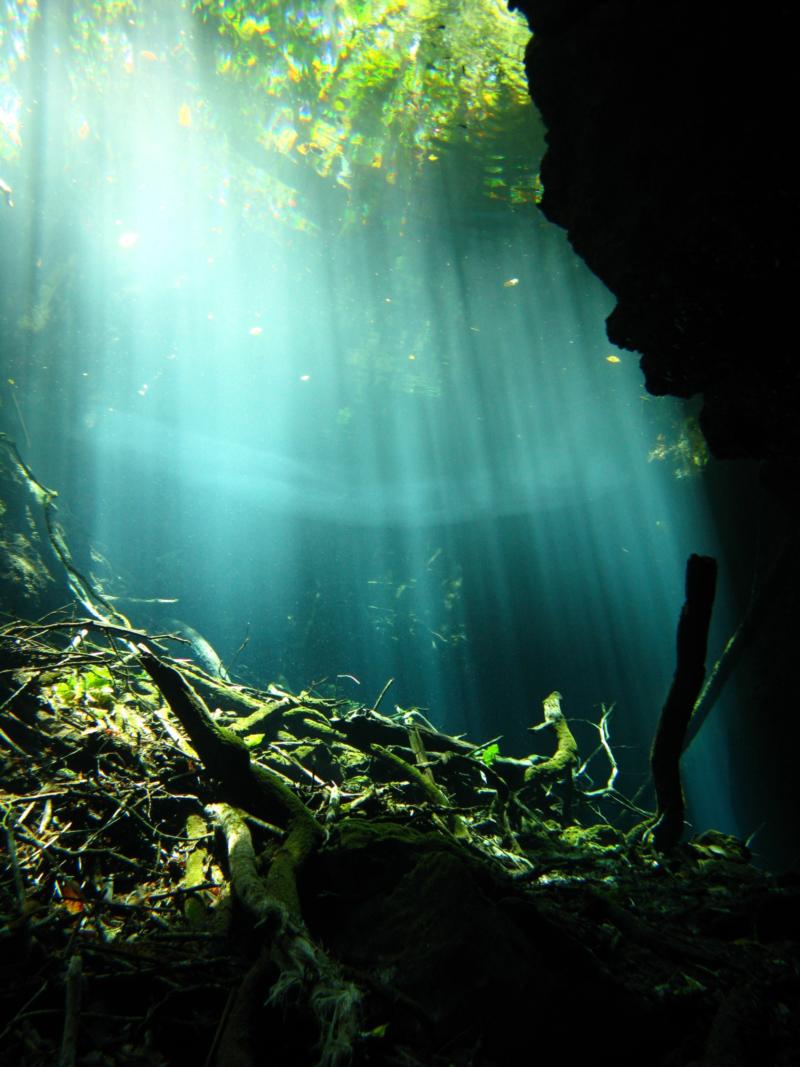 Cenote Dive