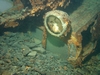 The Warren Wreck, Lake Crescent, Washington