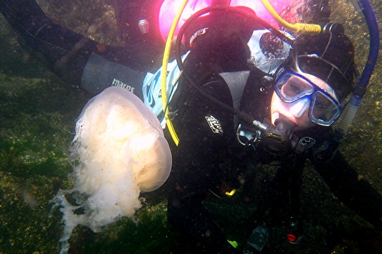 me and an egg yolk Jelly at the KeyStone Jetty- Whidbey Island WA.