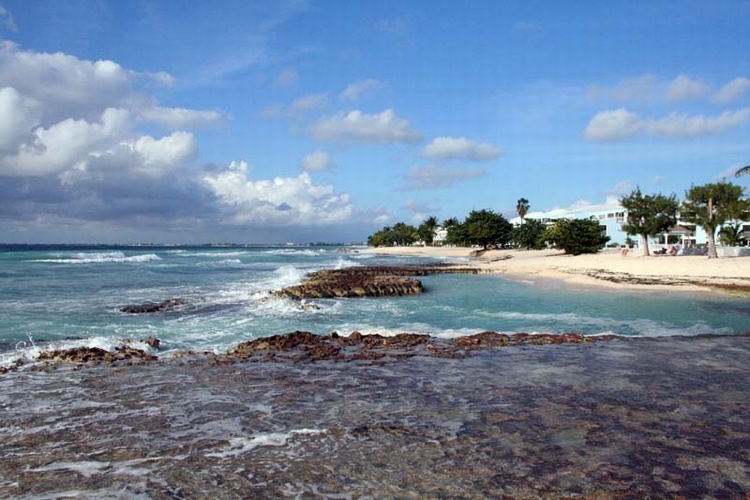 Ocean