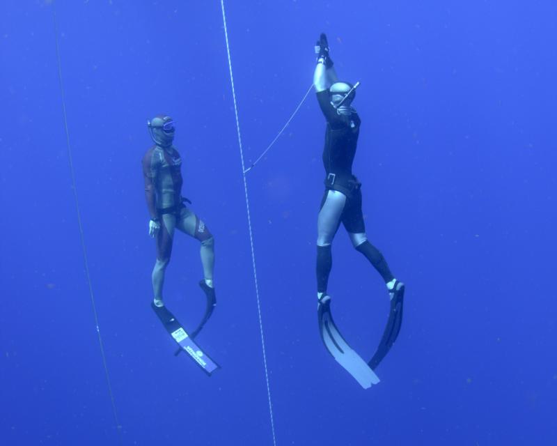 Dive Fit Safety Diver